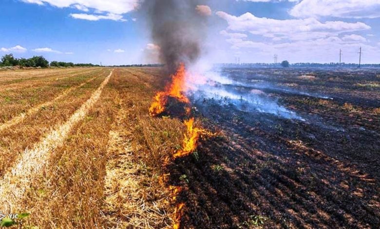 خسارتهای جبران ناپذیر آتش زدن کاه و کلش در مزارع