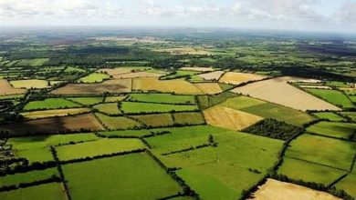 مهلت یک هفته ای دادستان مرکز استان گلستان برای حذف آگهی های فروش زمین های کشاورزی از 2سایت نیازمندی