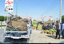 ساماندهی میوه‌فروشان مستقر در جاده‌های ورودی گنبدکاووس ضروری است