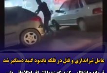 تیراندازی فلکه یادبود گنبد کاووس