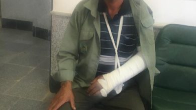 ضرب و جرح جنگلبان آزادشهری توسط دامدار متخلف
