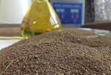 ارائه خدمات آزمون خاک به کشاورزان گلستانی