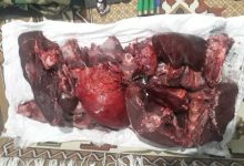 گوشت مرال از شکارچیان متخلف در شهرستان علی آبادکتول کشف شد