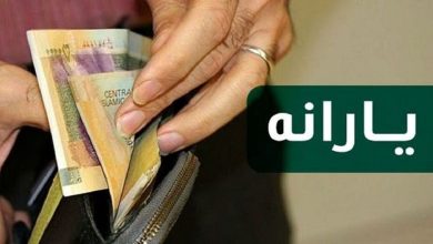 ۷۰ هزار سرپرست خانوار این ماه به جمع یارانه بگیران افزوده می‌شوند